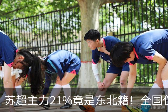 苏超主力21%竟是东北籍！全国仅11.6%，这局到底是谁选了谁？
